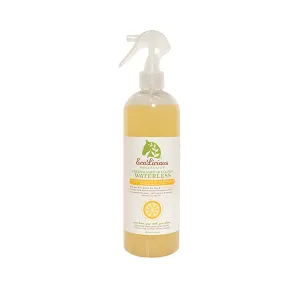 SQUEAKY GREEN & CLEAN Waterless Deep Cleaning Shampoo