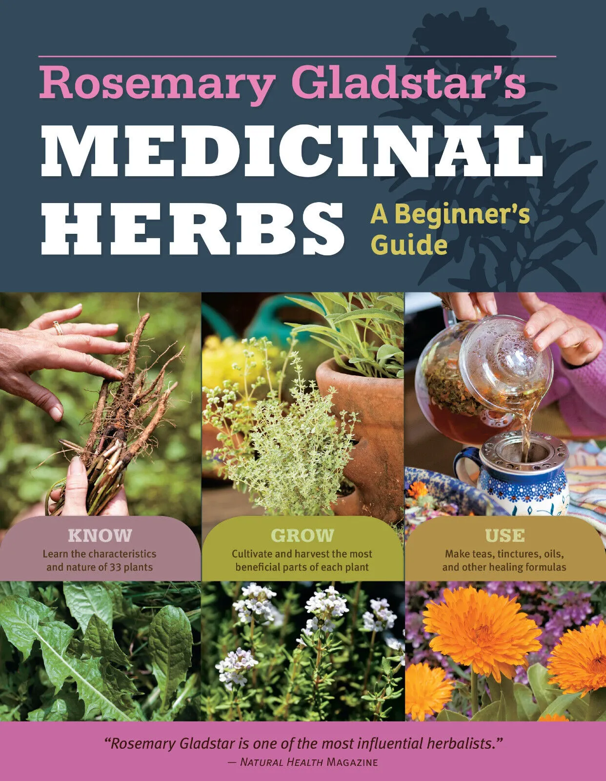 Workman Rosemary Gladstar's Medicinal Herbs: A Beginner's Guide