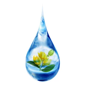 Ylang Ylang Floral Water